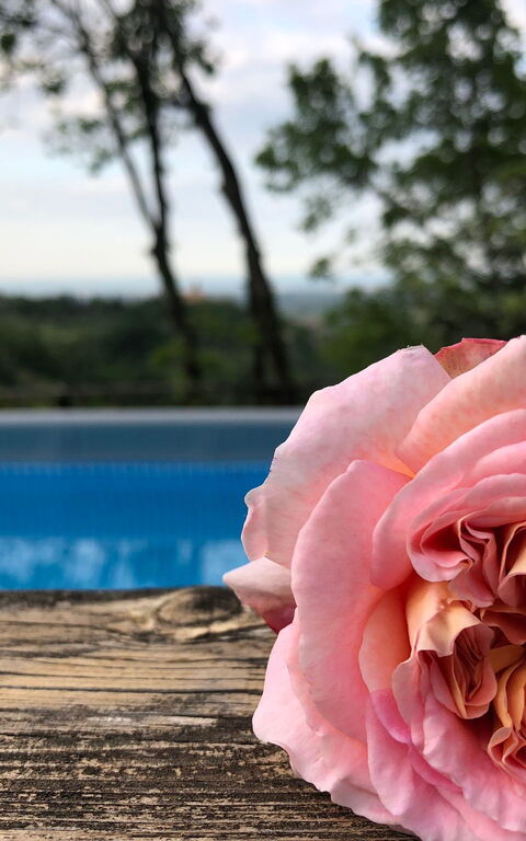 La Nocciola: slå samman, Utomhus