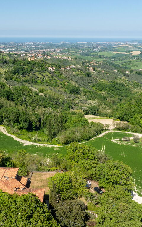 La Nocciola: Utomhus, Visningar