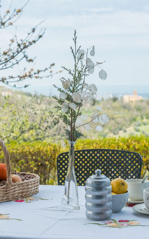 La Nocciola: Visningar