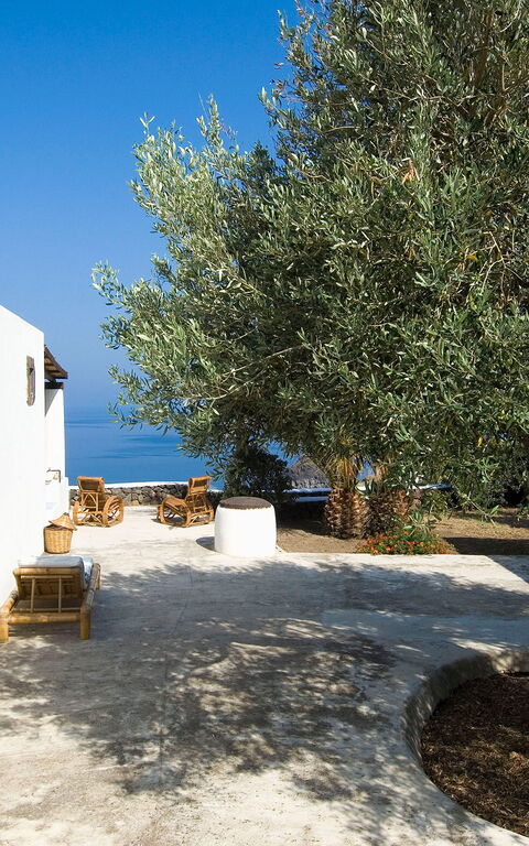 L'ulivo Di Pollara: Exteriör, Utomhus, Visningar