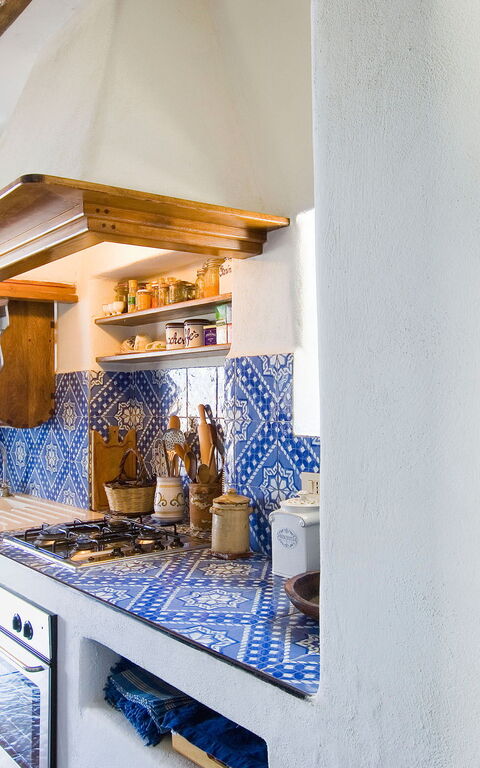 L'ulivo Di Pollara: Kök