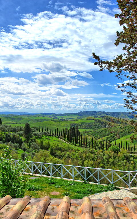 Santo Stefano: Visningar