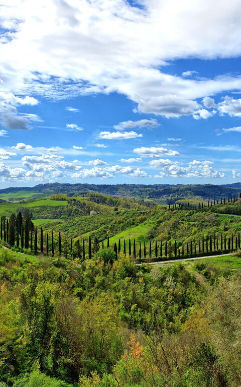 Santo Stefano: Visningar
