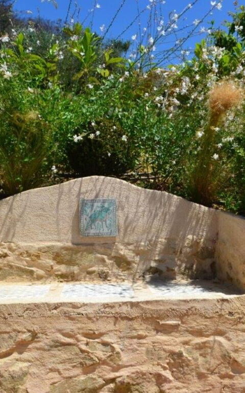 Casarosa Di Mariasole: Sommar, Utomhus