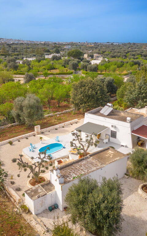 Villa Narkive: Exteriör, Trädgård