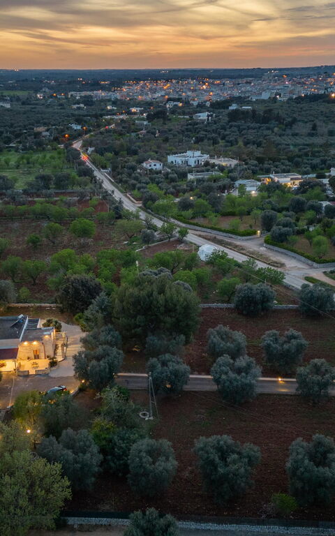 Villa Narkive: Exteriör