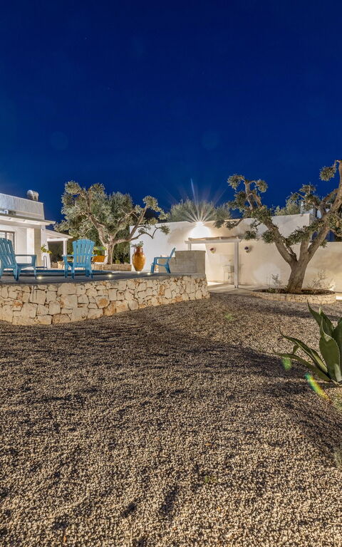 Villa Narkive: Exteriör, Visningar