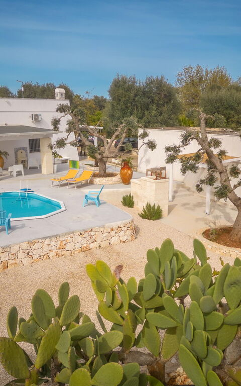 Villa Narkive: Huvudentré, Trädgård, Utomhus