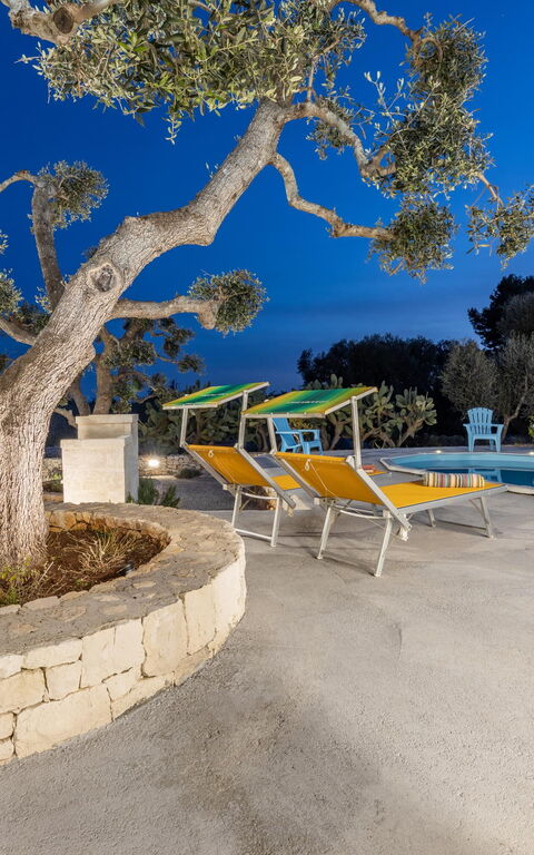 Villa Narkive: slå samman, Visningar