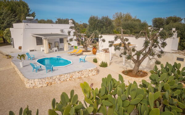 Villa Narkive: Huvudentré, Trädgård, Utomhus