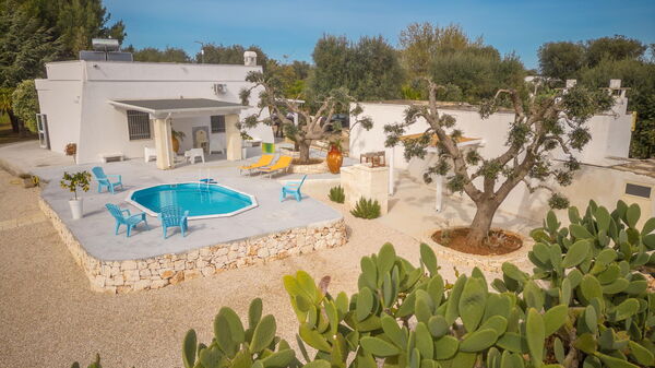 Villa Narkive: Huvudentré, Trädgård, Utomhus