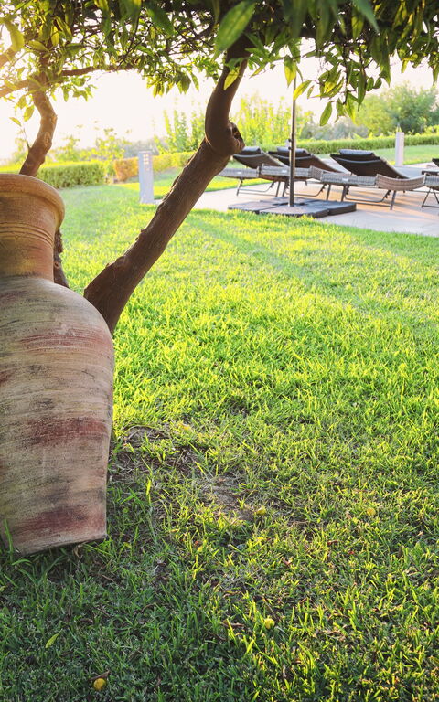 Villa Malu: Exteriör, Trädgård, Utomhus