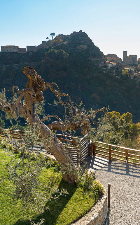 Zagara Bianca: Exteriör, Trädgård, Utomhus, Visningar