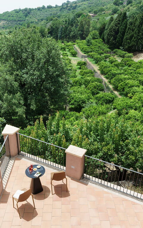 Tenuta Della Contea: Exteriör, Trädgård, Utomhus