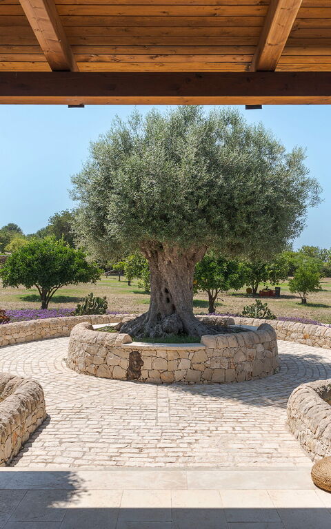 Pigna Blue: Exteriör, Utomhus