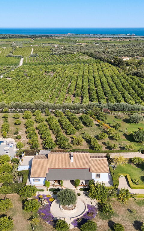 Pigna Blue: slå samman, Visningar