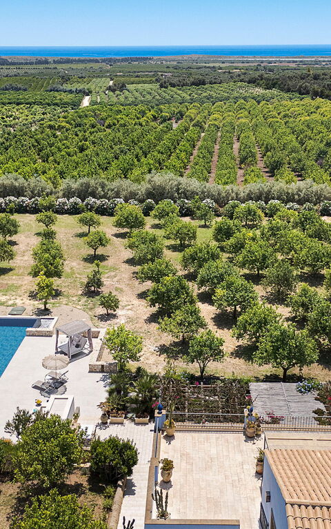 Pigna Blue: slå samman, Visningar