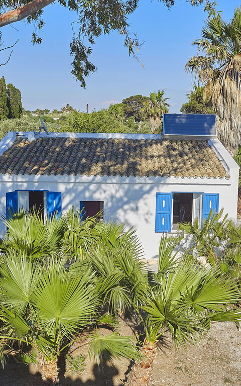 Villa Maraus: Exteriör, Trädgård, Utomhus