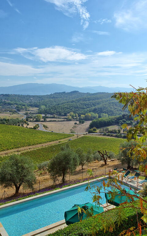 Villa Cona: Exteriör, slå samman, Trädgård, Utomhus