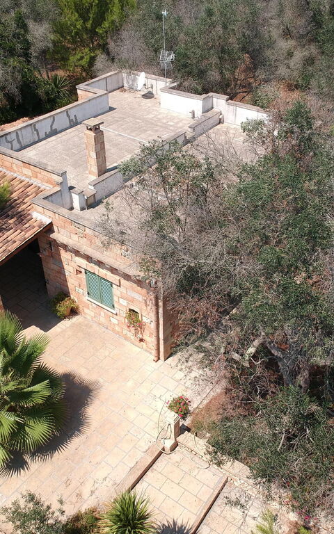 Villa Astrea: Trädgård, Utomhus