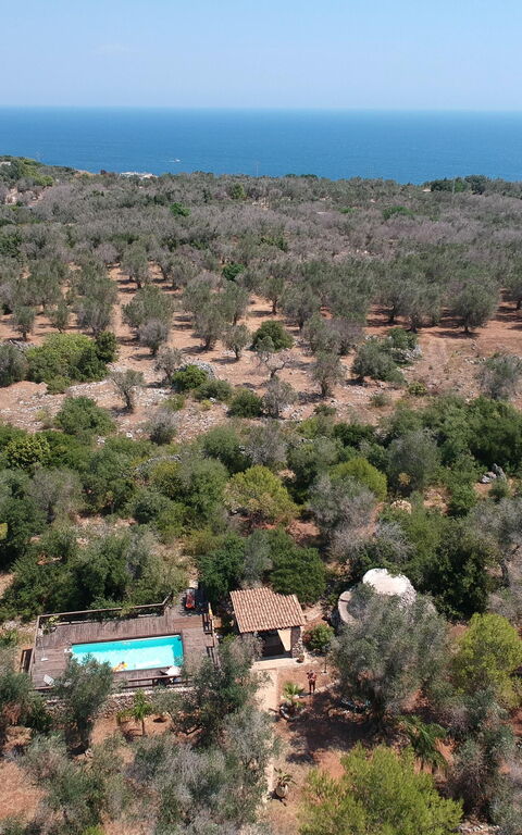 Villa Astrea: Utomhus