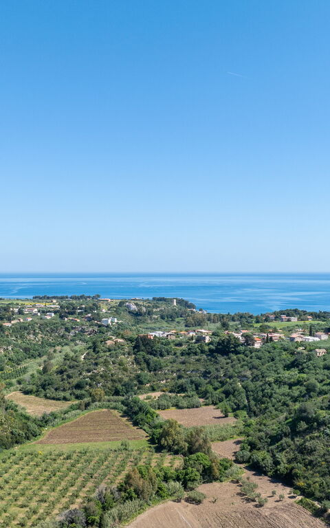 Villa Demetra: Visningar