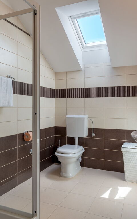 Villa Roglic: Badrum