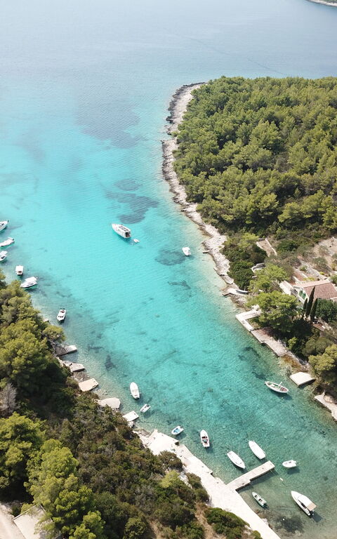 Villa Emerald: Visningar