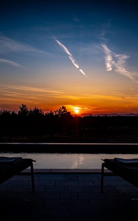 Villa Diana: Visningar