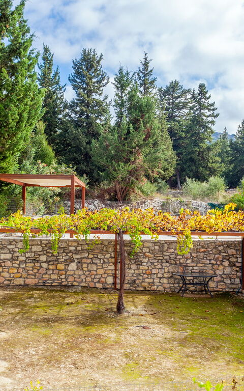 Villa Giorgos: Exteriör, Trädgård, Utomhus