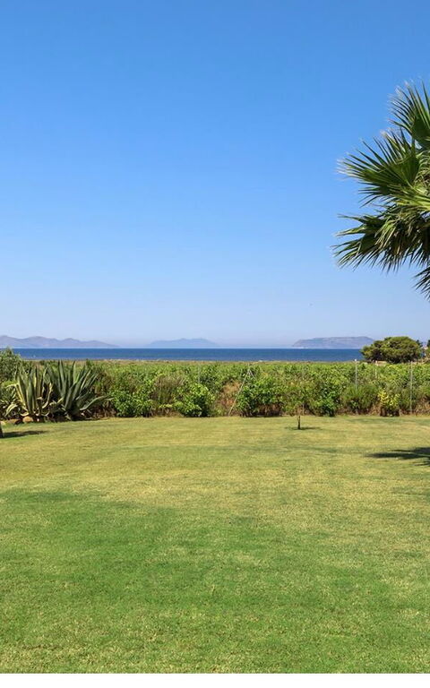 Villa Casale: Exteriör, Trädgård, Utomhus