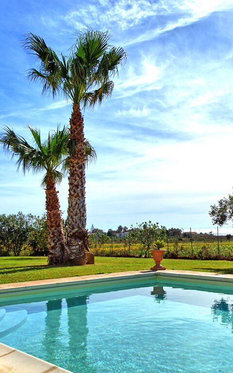 Villa Casale: Exteriör, slå samman, Trädgård, Utomhus