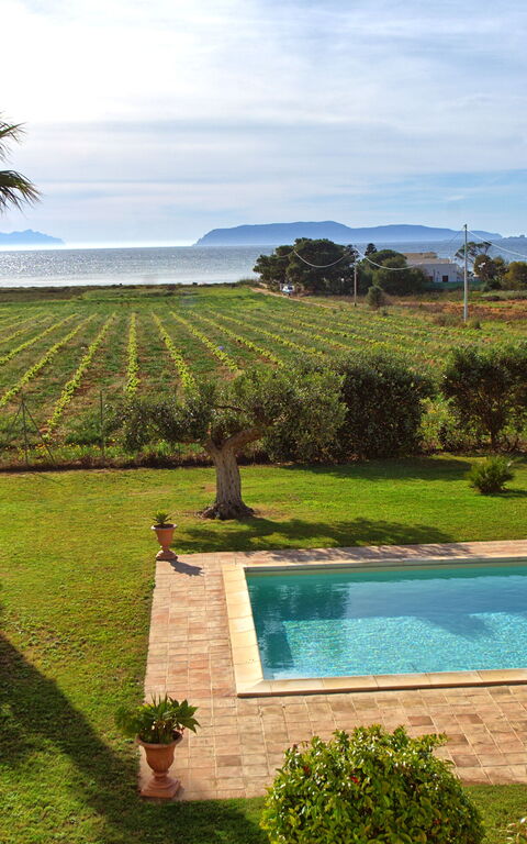 Villa Casale: Exteriör, slå samman, Trädgård, Utomhus