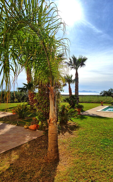 Villa Casale: Exteriör, slå samman, Trädgård, Utomhus