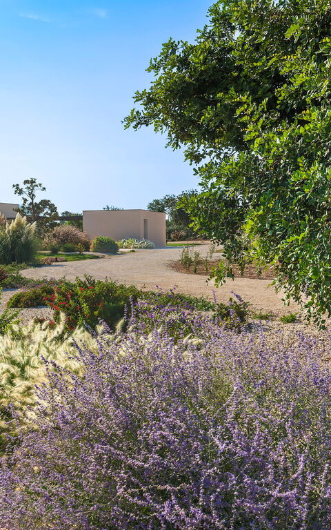 Villa Passo Salina: Trädgård