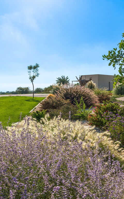 Villa Passo Salina: Trädgård