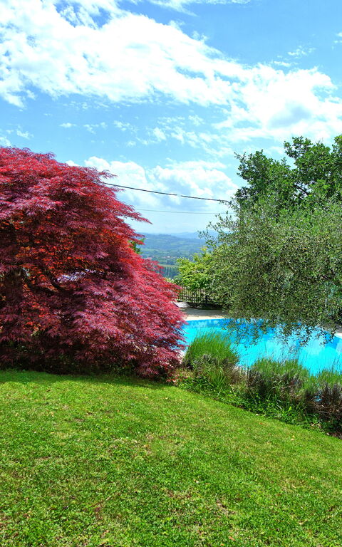 Villa Paradiso: Trädgård