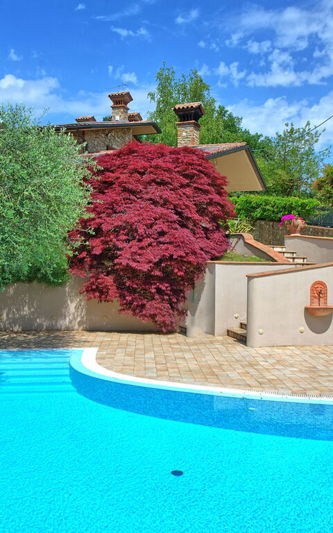 Villa Paradiso: Exteriör, slå samman