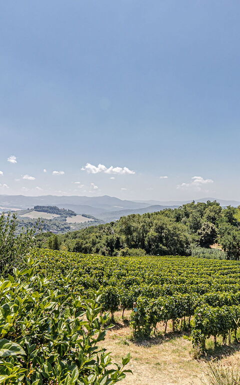 Chateau La Siroque: Exteriör, Utomhus, Visningar