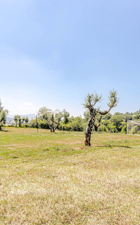 Chateau La Siroque: Exteriör, Trädgård, Utomhus