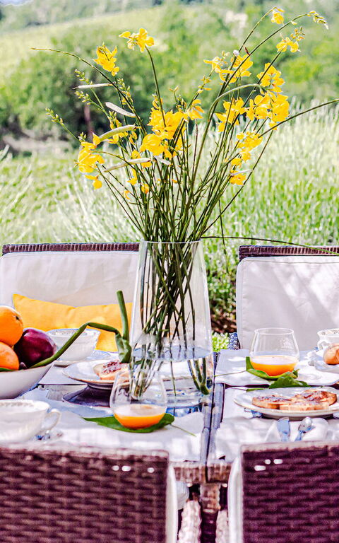 Chateau La Siroque: Exteriör, Utomhus