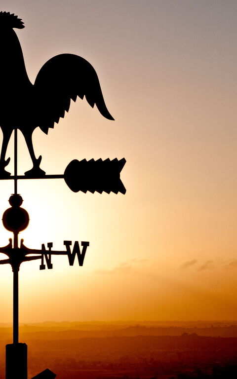 Villa Colle Di Sotto: Exteriör, Utomhus