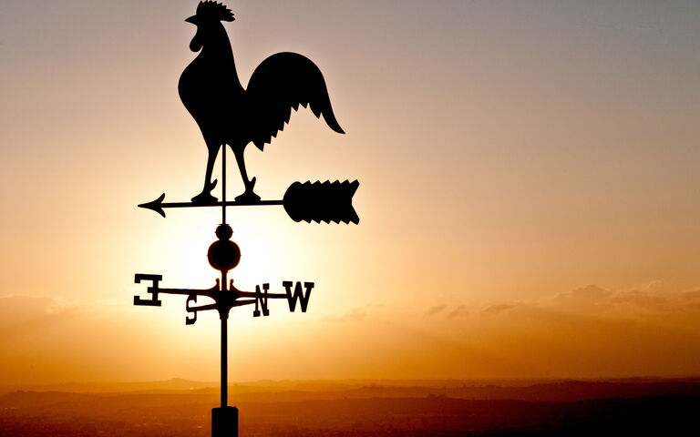 Villa Colle Di Sotto: Exteriör, Utomhus