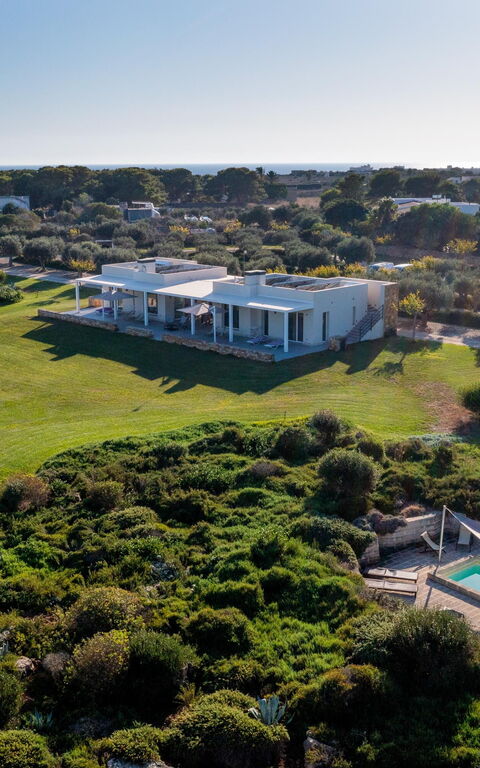 Villa Partenope: slå samman, Trädgård, Visningar