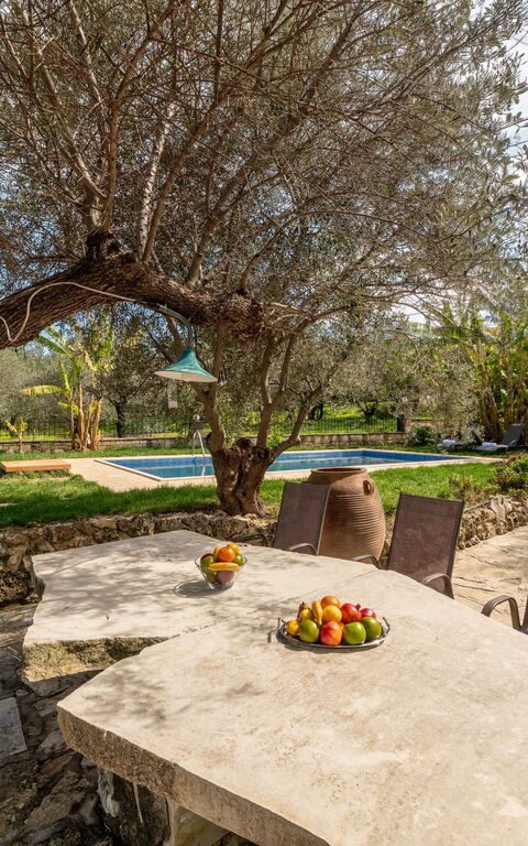 Klapas: Balkong / terrass / uteplats, Exteriör, slå samman, Trädgård