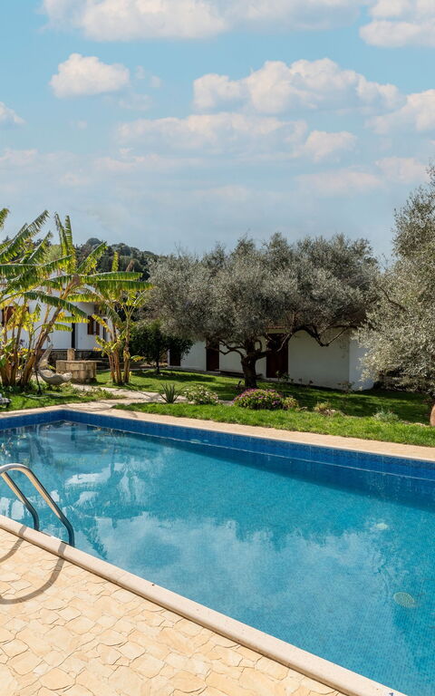 Klapas: Exteriör, slå samman, Trädgård