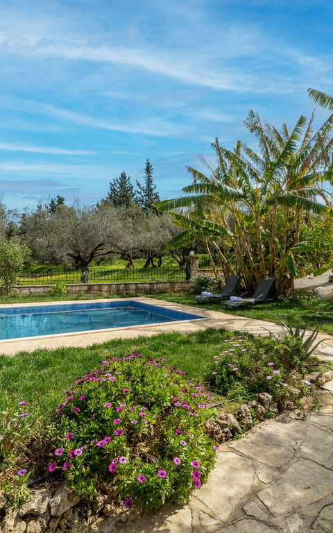 Klapas: Exteriör, slå samman, Trädgård