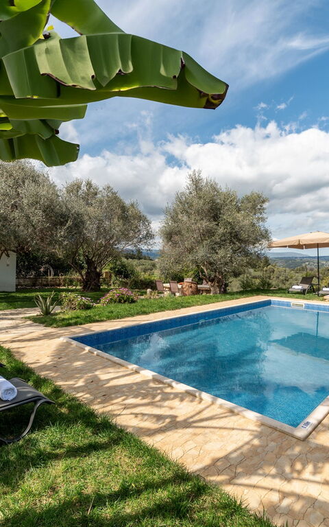 Klapas: Exteriör, slå samman, Trädgård