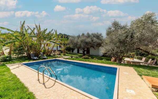 Klapas: Exteriör, slå samman, Trädgård