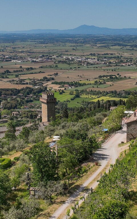 Casale Della Torre: Utomhus, Visningar